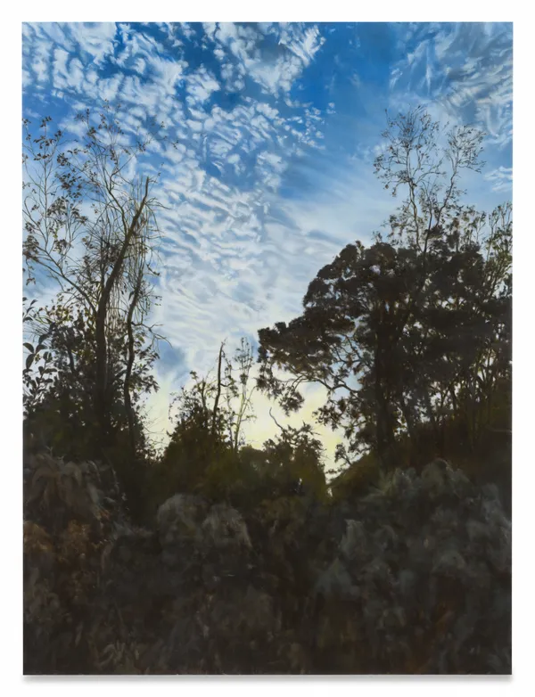 APRIL GORNIK The Palm at the End of the Mind, 2026 Oil on linen 56 x 42 inches 142.2 x 106.7 cm