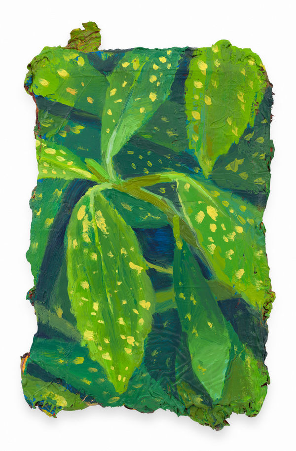 MATHIEU CHERKIT Aucuba Japonica Bis, 2024 Oil on canvas 10 1/2 x 6 3/4 inches 26.7 x 17.1 cm