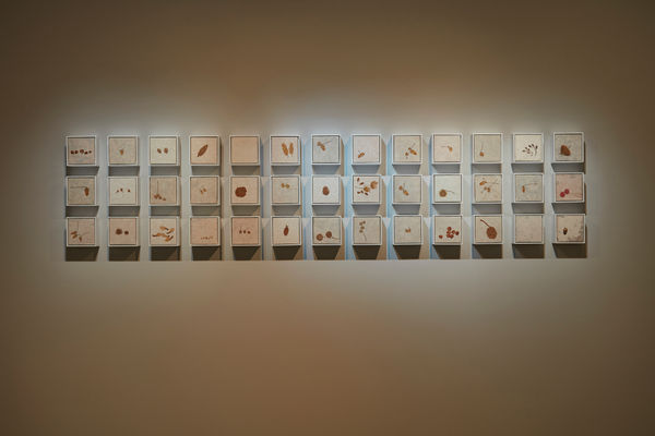 鍾舜文, 《秋日的採集1》 Autumn Collections –1, 2018