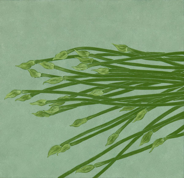 鍾舜文, 《日常採集─筷菜花》 Daily Collecting-Leek Flowers, 2015