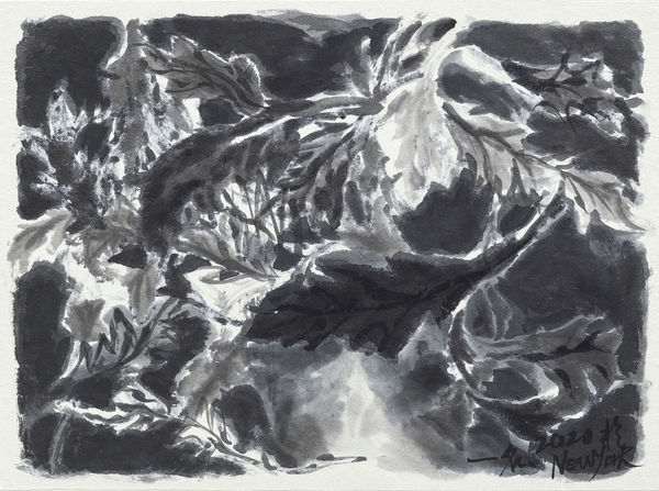 鄔一名, 《薺菜》Shepherd's Purse, 2020