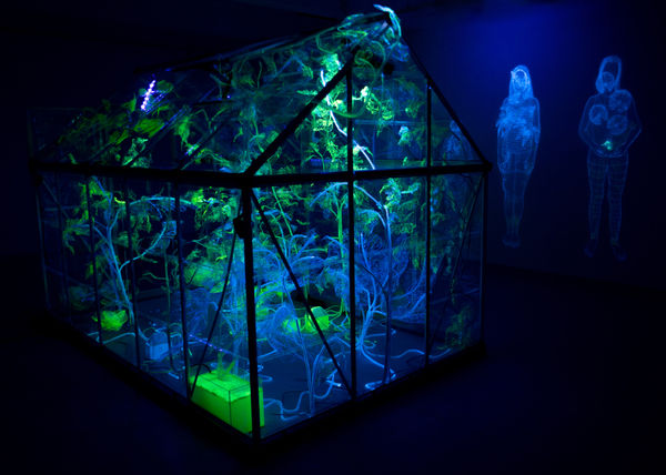 安德利亞・梅達爾, 《日光室．永恆花園》 Solarium. The Forever Garden, 2022