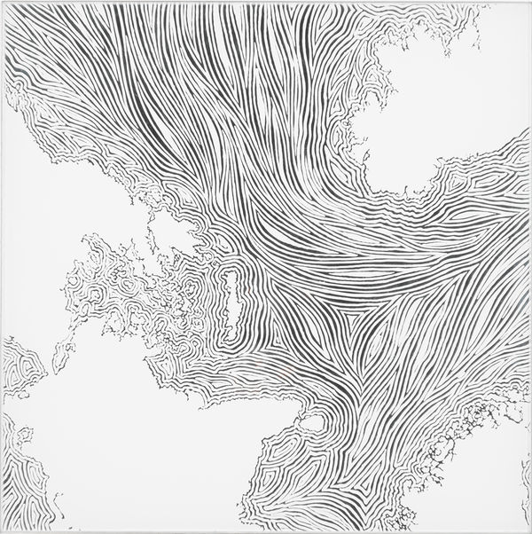 大卷伸嗣, 漂浮 Flotage, 2004-2013