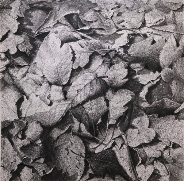 丹．馬諸卡, 《樹葉》Leaves, 2021