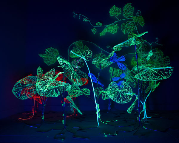 安德利亞・梅達爾, 《末日後的新娘1-17》 Post-apocalyptic bride 1-17, 2023