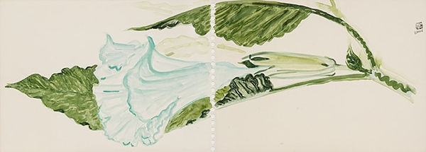 林銓居, 《曼陀羅花》Thorn Apple, 2023