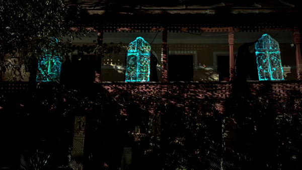 安德利亞・梅達爾, 《從你的窗櫺開始綻放以來》 Since the Wood of Your Window Has Been Blooming , 2024