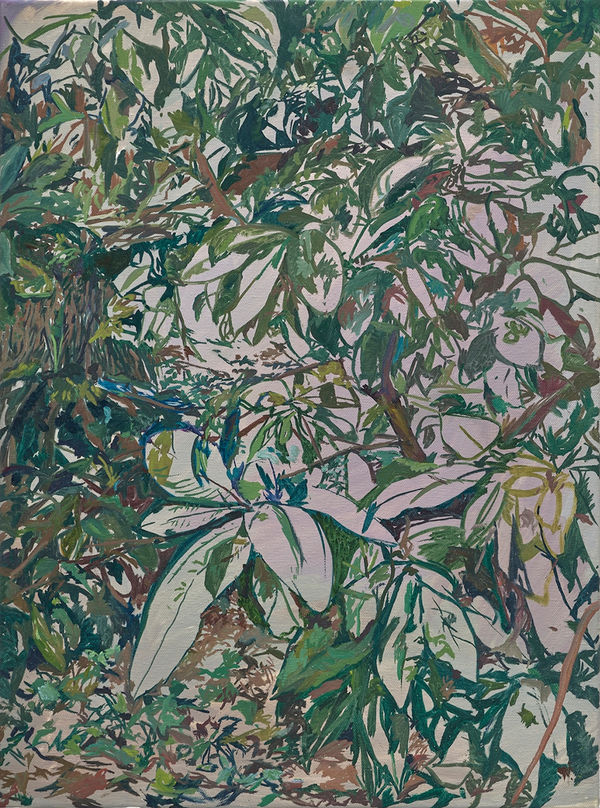 周楷倫, 《溫潤的眼睛》Tender Eyes, 2025