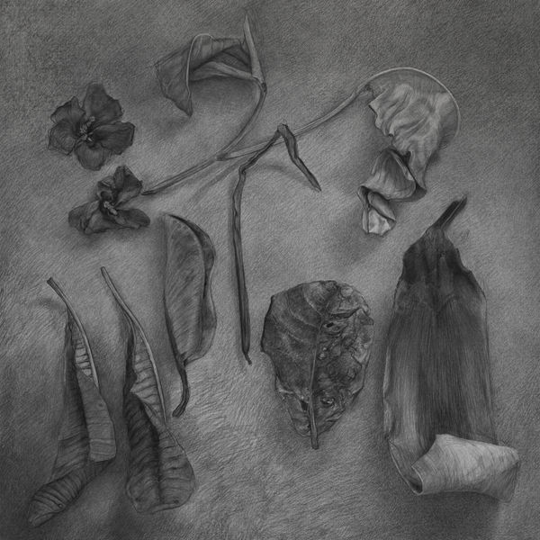 安娜・瑪瑞亞・米庫, 《訴說未知- 素描1》 Speaking About the Unknown - Drawing 1, 2019