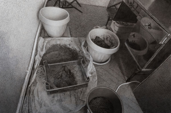 安娜・瑪瑞亞・米庫, 《然而如此糟糕的......就地取一些土壤》 yet so poorly … Take some field soil, 2023