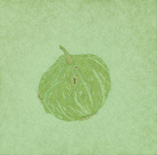 鍾舜文, 《日常採集─番瓜》 Daily Collecting- Pumpkin, 2015