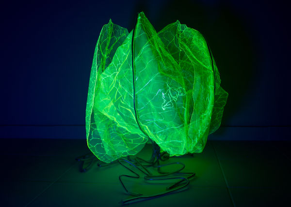 安德利亞・梅達爾, 《未來遺緒 1》 Leftover from the Future 1, 2023