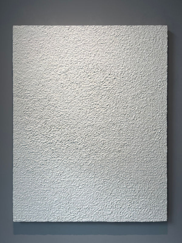 洪聖雄, 《彌生》 YAYOI, 2024