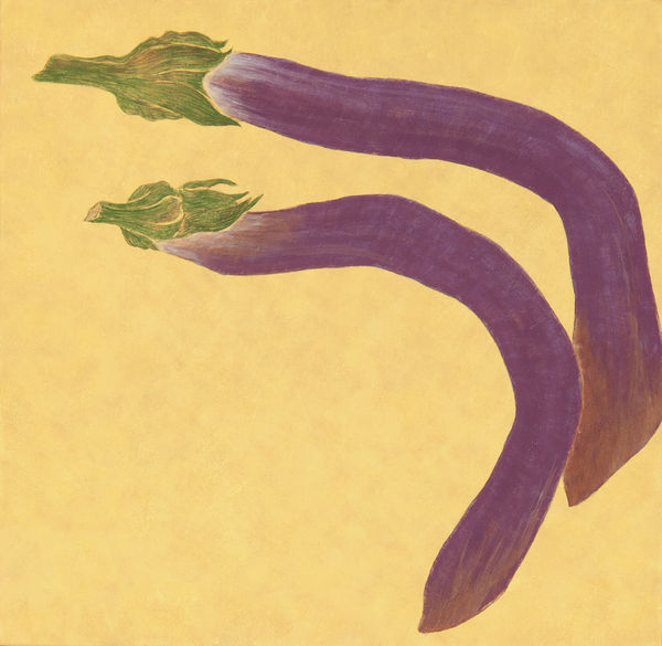 鍾舜文, 《日常採集─吊菜》 Daily Collecting- Eggplants, 2015