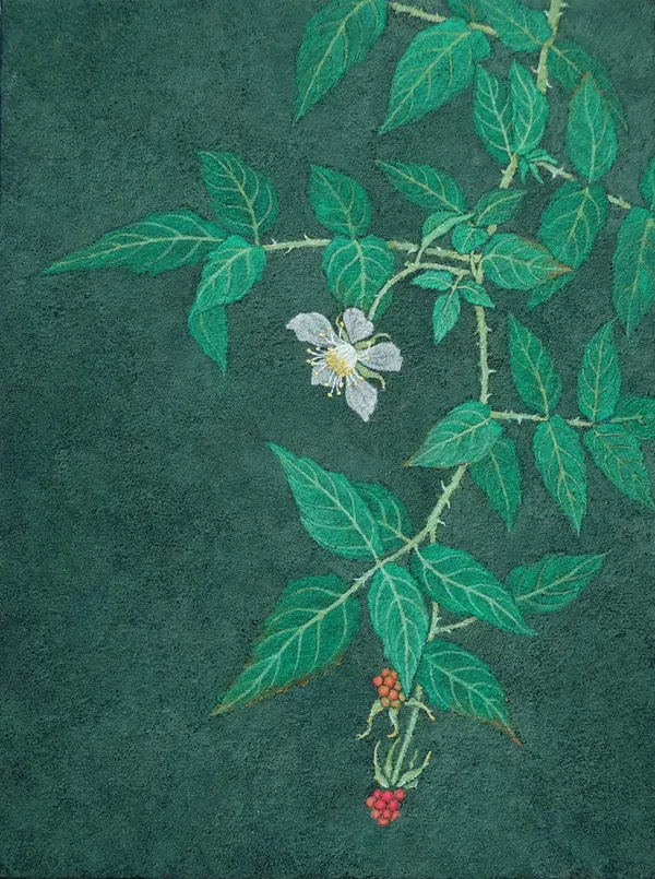 Chung Shun-Wen - 《野生26》 Ｗild Plant 26, 2026
