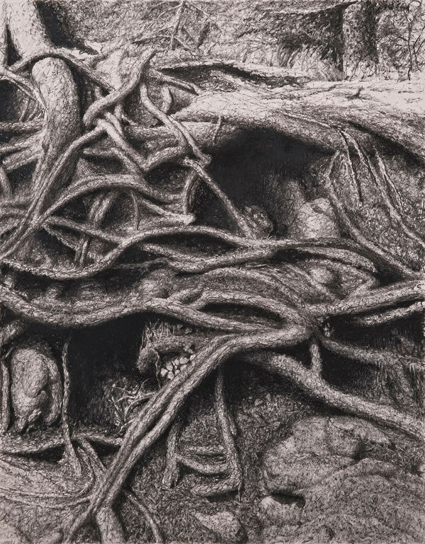 丹．馬諸卡, 《根》Roots, 2022