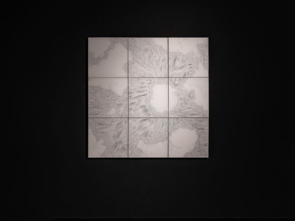 大卷伸嗣, 《漂浮-W》 Flotage-Ｗ, 2020