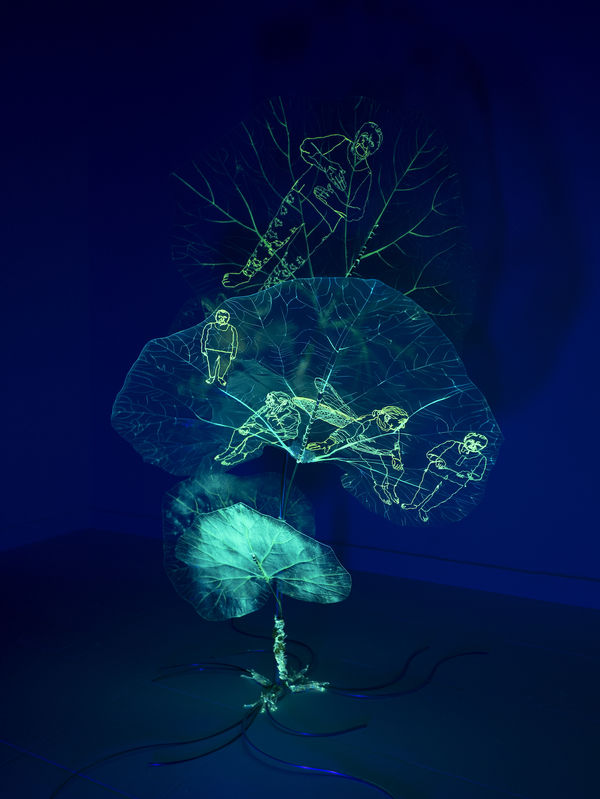 安德利亞・梅達爾, 《牛蒡》 Leaf-wings , 2024