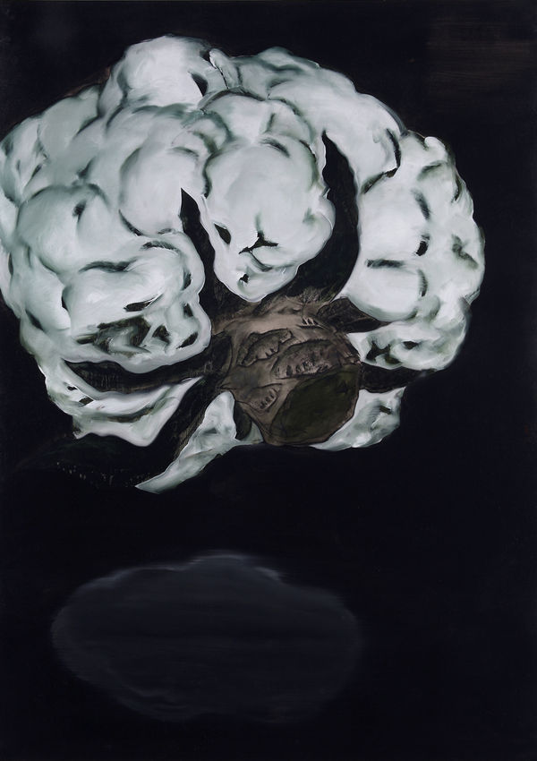 林銓居, 《白花椰菜之二》 Cauliflower II, 2009
