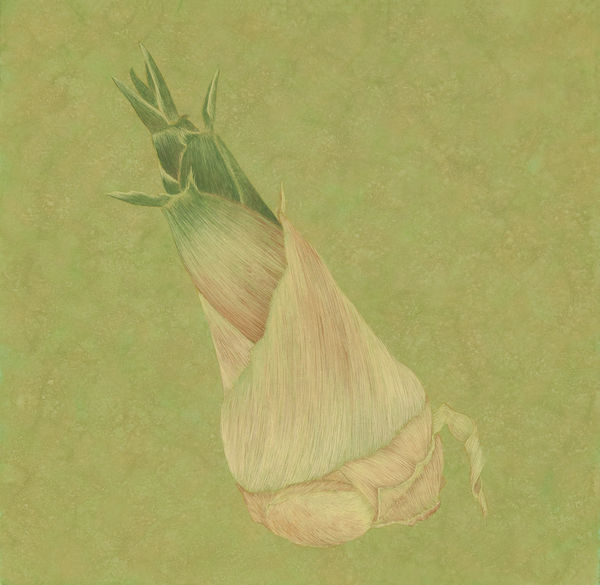 鍾舜文, 《日常採集─竹筍仔》 Daily Collecting-Bamboo Shoot, 2015
