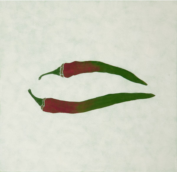 鍾舜文, 《日常採集─不辣椒》 Daily Collecting-Not Hot Chili Peppers, 2015