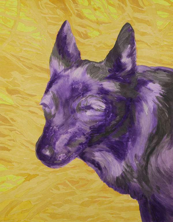 馬堤耶·馬哈切克, 《沉默的野獸》 Silent Beast, 2024