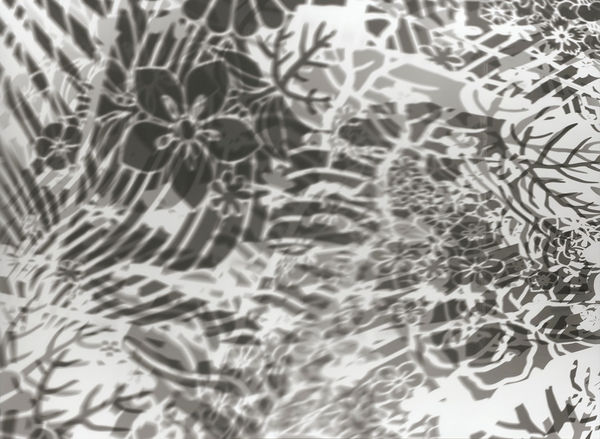 大卷伸嗣, 《重力與恩寵—瞬17/10/2017》 Gravity and Grace–moment 17/10/2017, 2017