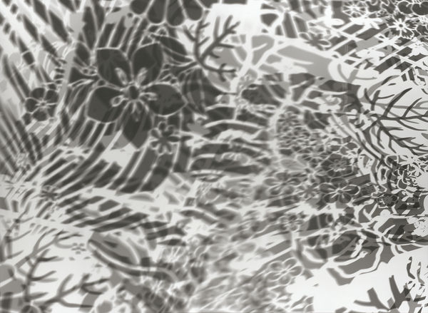 大卷伸嗣, 《重力與恩寵—瞬17/10/2017》 Gravity and Grace–moment 17/10/2017, 2017