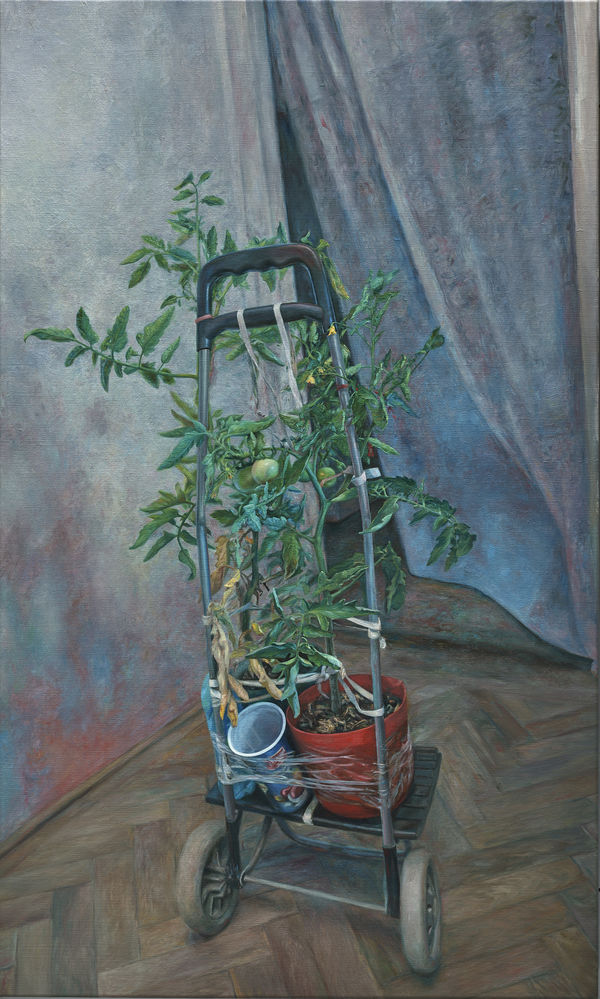 安娜・瑪瑞亞・米庫, 《在我的國家......為了她高強度的工作》in my country. ... for her extensive work, 2020