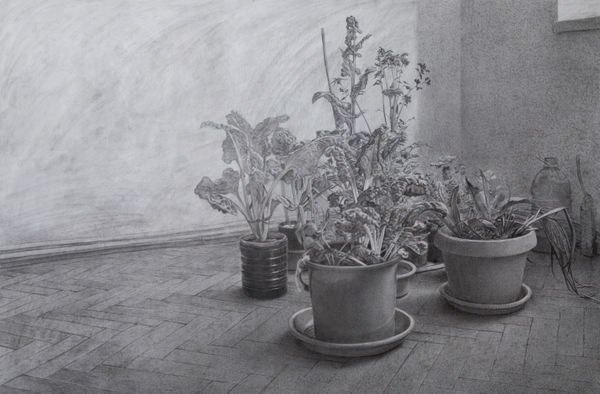 安娜・瑪瑞亞・米庫, 《服務由於......諸如暴雨這樣的事件》 services due to ... events such as thunderstorms, 2022