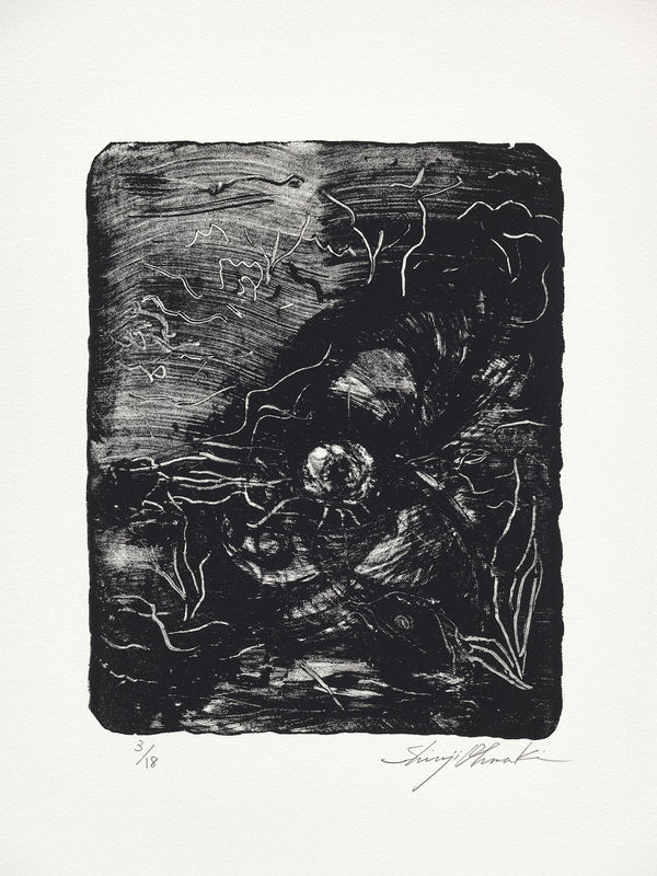 大卷伸嗣, 《森之凝視#2》 Gaze of the Forest, Château de Chambord #2, 2018