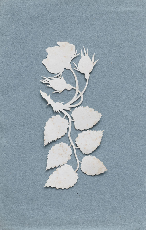Philipp Otto Runge, Rose, cut out, c. 1800