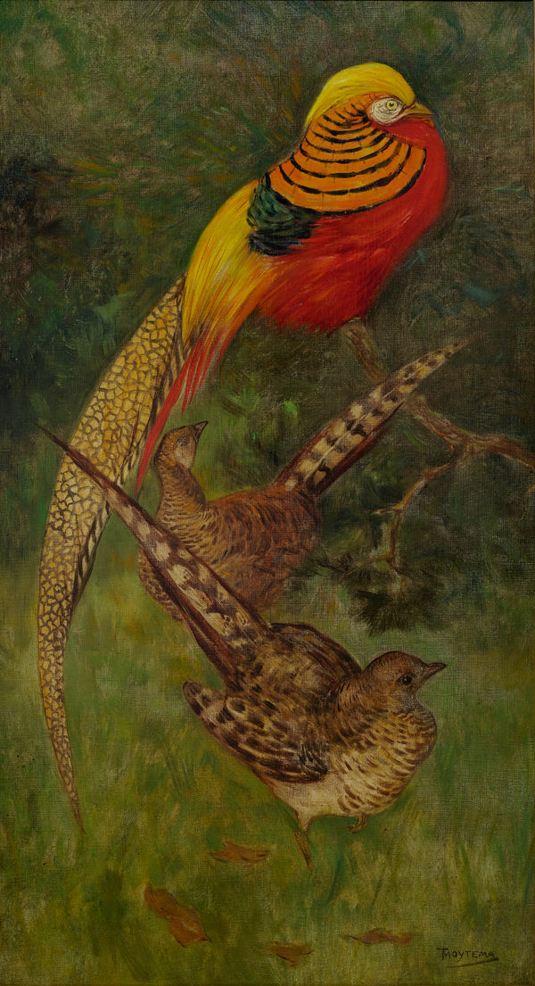Theo van Hoytema (1863-1917) Gold pheasants, c. 1900