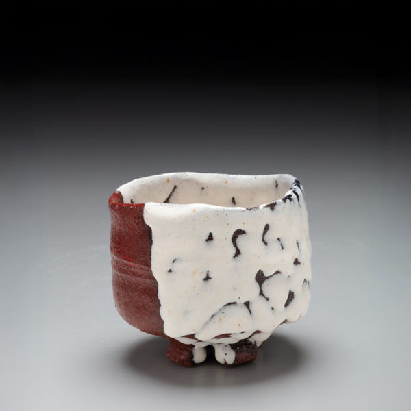 One Hundred Views of Snow Warikodai (split-foot) teabowl covered in unctuous crawling white glaze