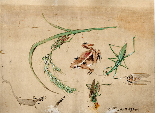 Shoka Watanabe (1835-1887), Sketchbook, ca 1860