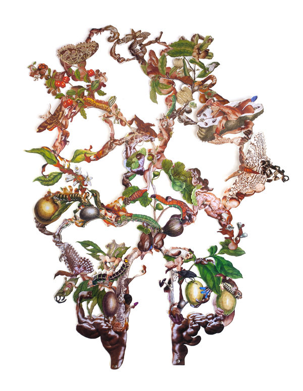 Dominique Paul Insects of Surinam 34, 2019 Series: Insects of Surinam photographic installation: laser cut acrylic and archival pigment print on Hahnemühle Photo Rag 49.2 x 38.2 x 1.75 in. 125 x 97 x 4.4 cm Edition of 6 plus 2 artist's proofs