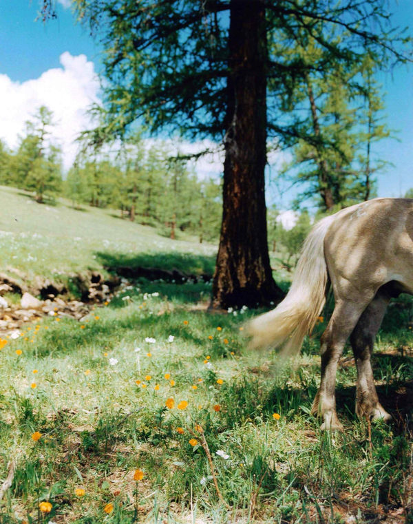 Yu Yamauchi, N 5 1 °1 2 ' 0 8 . 5 " E 9 8 °5 9 ' 4 2 . 6 " - #18, 2014