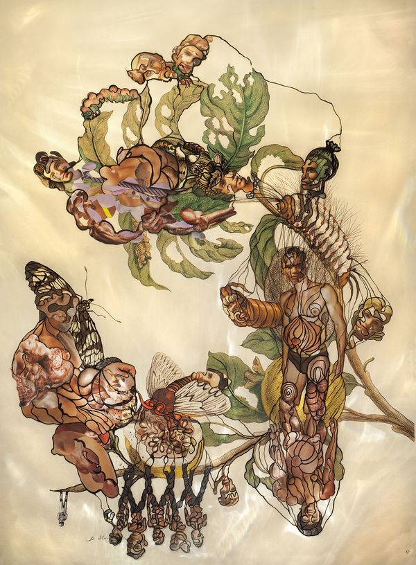 Insects of Surinam 31