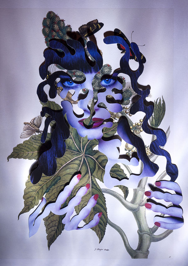 Insects of Surinam 33