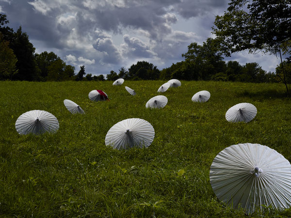 Mayumi Lake It's Alright #141199, 2014 Series: Latent Heat Archival pigment print 27 1/8 x 36 in/ 68.6 x 91.4 cm (image) 29 x 38 in. / 73 2/3 x 96 1/2 (frame) Edition of 3 plus 2 artist's proofs