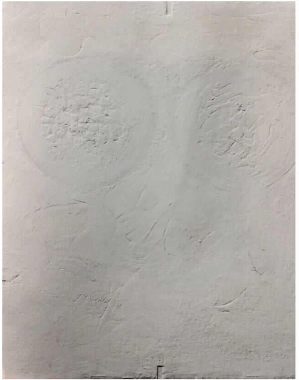 Angelo Savelli, Appearing, 1985