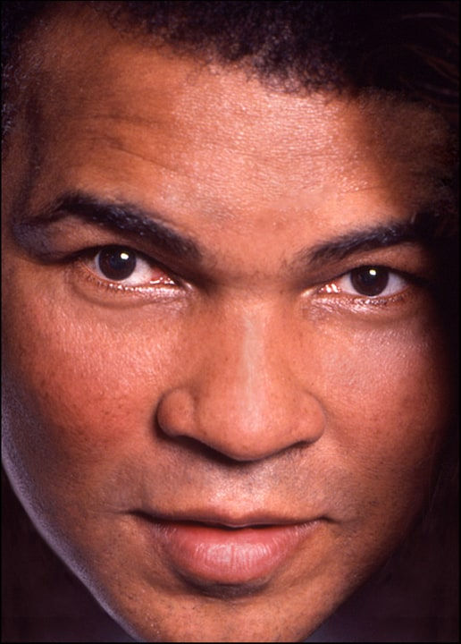 Francesco Da Vinci, Muhammad Ali, 1994