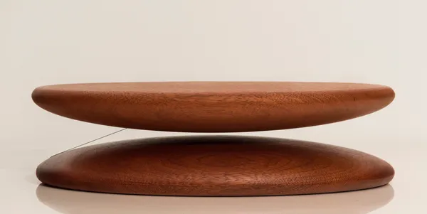 Tom Shannon, Tangent Twins, 2004