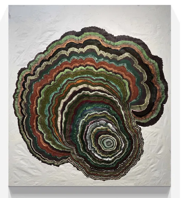 Steven L. Anderson, 248 Years