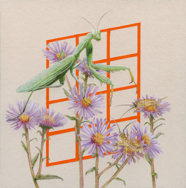 Jessica Tenbusch, Maidens