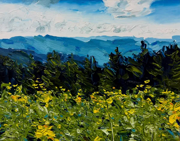 David Shingler, Wild Flowers, NC