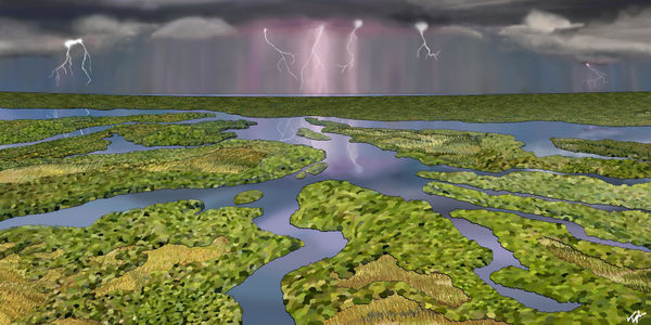 Topher Straus, Everglades National Park