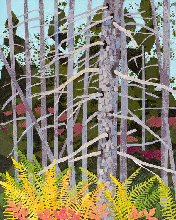 Meg Lagodzki, Northwoods: White Spruce Forest #2