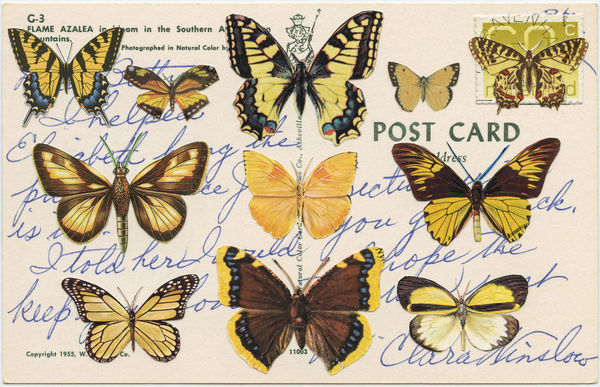 Greg Sand, Migration III