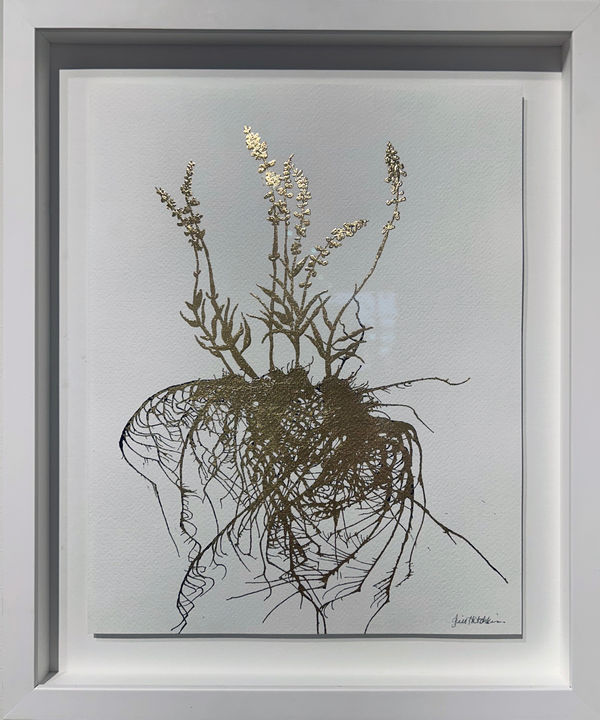 Jill Hotchkiss, Plants that Heal: Study, Lavender